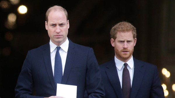 Prince William Is A Bit Envious of Prince Harry s Freedom 383